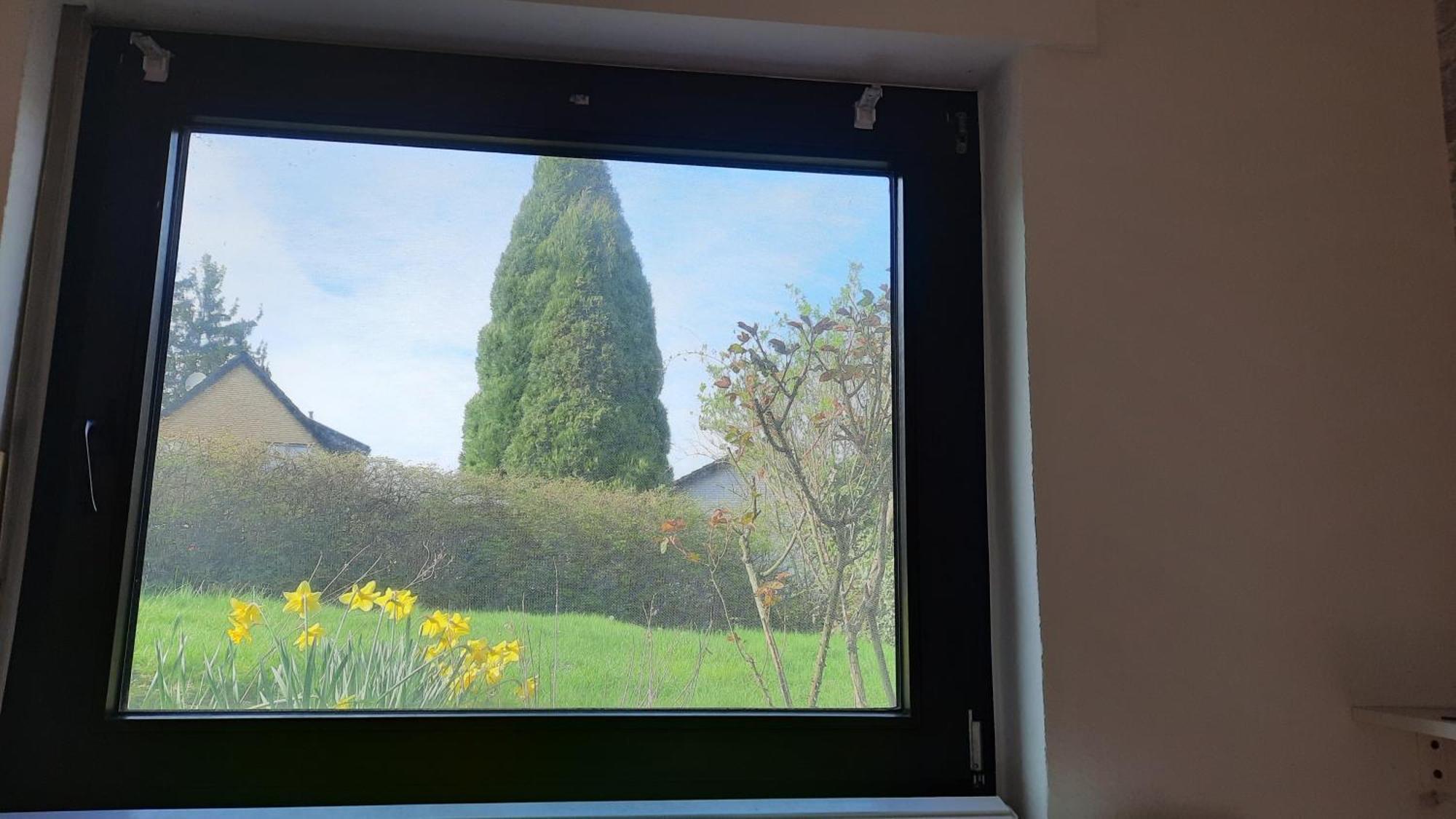 Kleine Ferienwohnung In Ruhiger Lage Herzogenrath Exterior foto